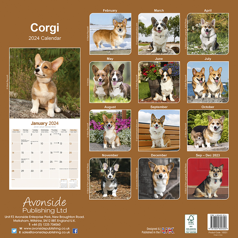 Calendar 2024 (Square) Dogs Naturally